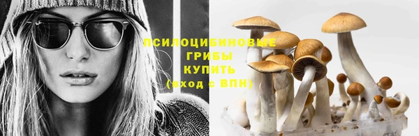 марихуана Абаза